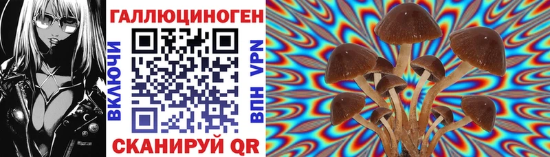 Галлюциногенные грибы мухоморы  Новозыбков 